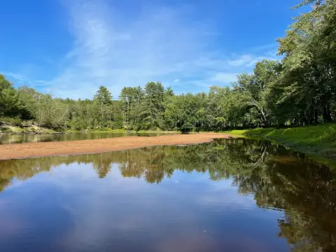 Pine-Studded Land Near Saco River