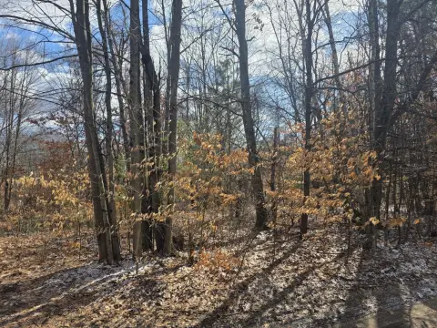 Affordable Land Near USA Land