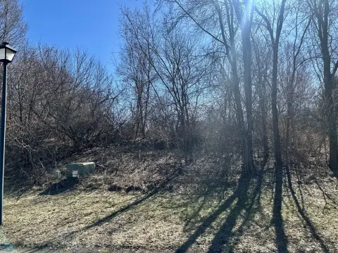 Residential Land in Peach Ridge