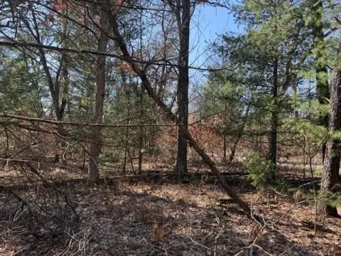 Land in Baldwin, Michigan