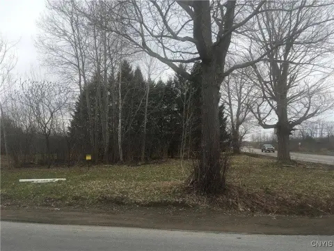 Residential Land in Pulaski Area