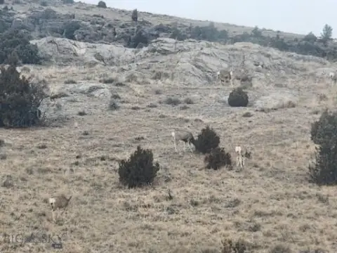 Historic Gold Mine Claims Land