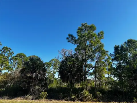 Residential Land in Port Charlotte