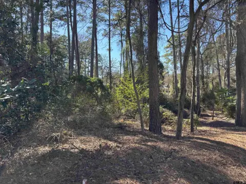 Residential Lot Near Lake Palestine