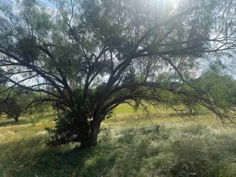 Horseshoe Bay Garden Home Lot