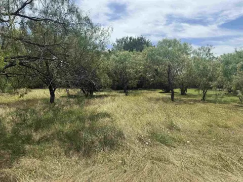 Tree-Covered Cul-de-Sac Homesite