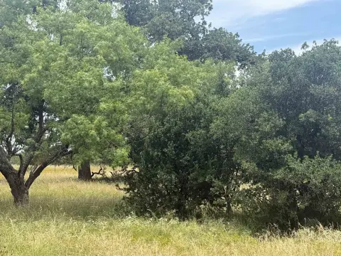 Level Cul-de-Sac Homesite