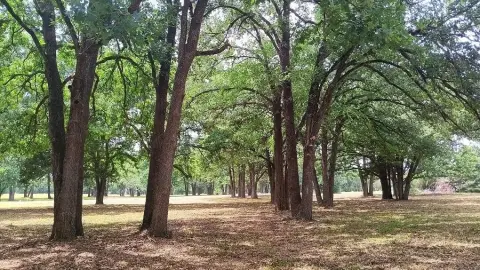 Land in Gated Community