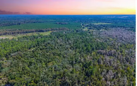 Wooded Hunting Land