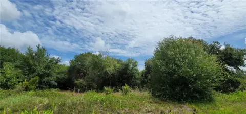 Vacant Farmland Lot in AE Zone