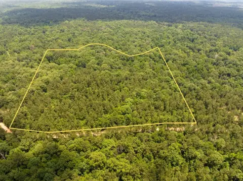Vacant Timberland Tract