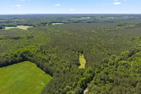 Agricultural Land Tract with Timber