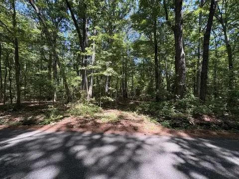 Wooded Country Home Lot
