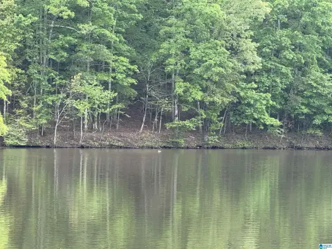 Lakefront Development Land