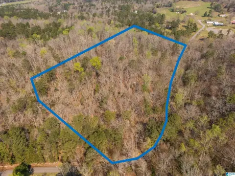 Piedmont, AL 12-Acre Land Parcel