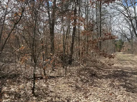 Wooded Land Near US10