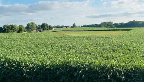 Campbellsville Vacant Land For Sale