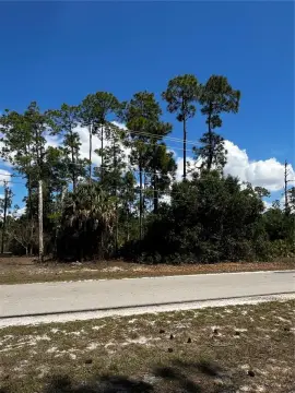 Residential Land in Lehigh Acres