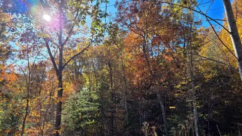 Cleared Lot Ready to Build