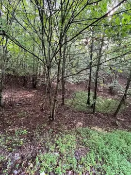 Hayesville Wooded Lot with View