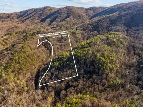 Wooded Mountain Property for Sale