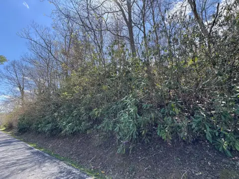 Vacant Land Near Golf Course