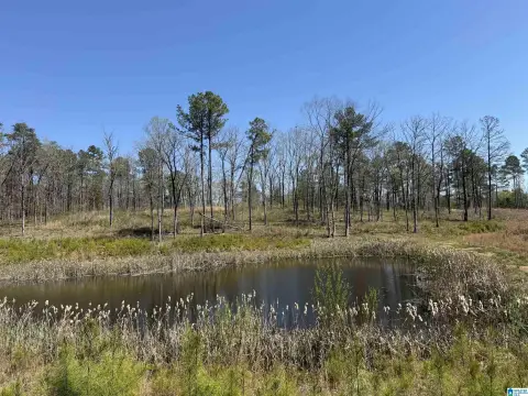 Creekfront Agricultural Land