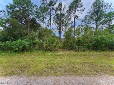 Residential Land in Lehigh Acres