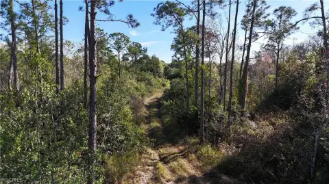 Undeveloped Land Parcel Near Naples