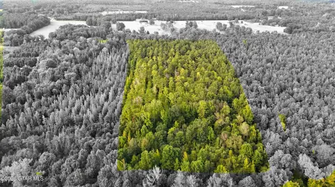 Wooded Land Tract