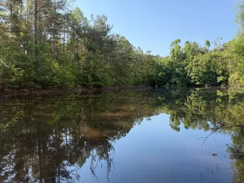 Recreational Land Tract with Pond