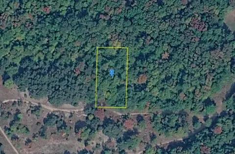 Wooded Lot Near Lake Michigan