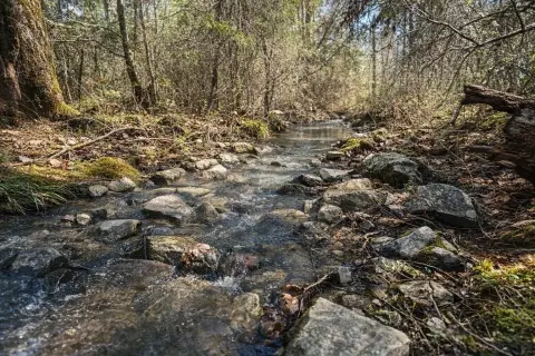 Scenic Kiamichi Valley Land