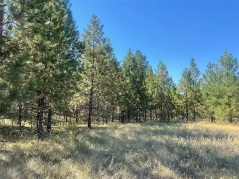 Polson, MT 3-Acre Corner Lot