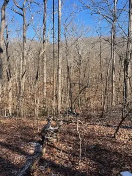 Land in Chickasaw Point