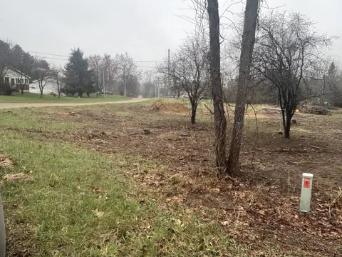 Wooded Lot Near Mirror Lake