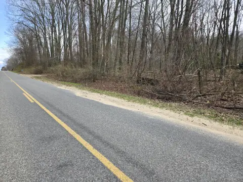 Wooded Buildable Lots on 8th