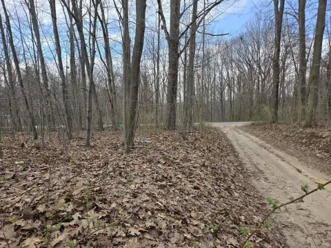 Wooded Buildable Lots on 8th