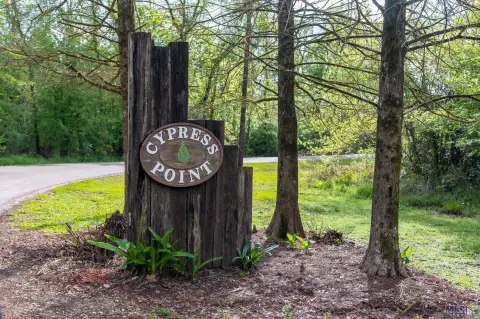 Land Near Amite River