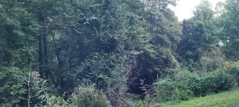 Hayesville, NC Vacant Lot