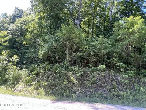 5.01 Acres Wooded Land