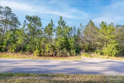 Residential Lot in Cantonment, FL