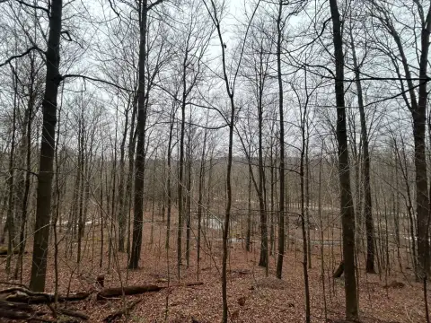 20 Acres Wooded Retreat