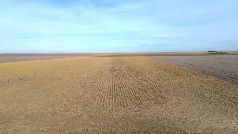Farmland Opportunity Near Bird City