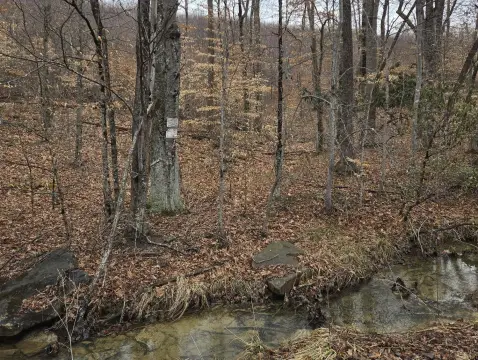 Land Near New River Gorge
