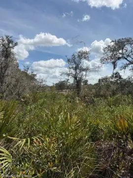Agricultural Land in Sun n Lakes