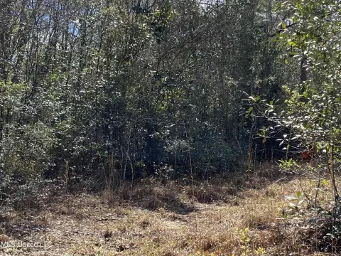 Land with Bluff Creek Frontage