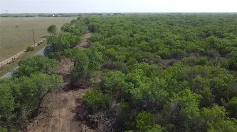 40 Acres on County Road