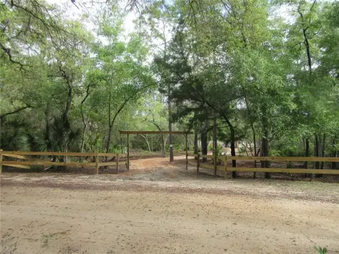 Waterfront Land With Forest Border