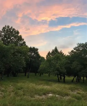 Residential Homesite in Lake Community